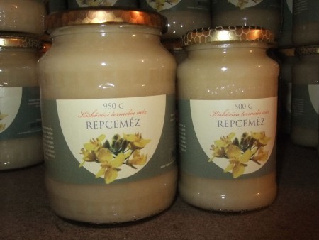REPCEMÉZ